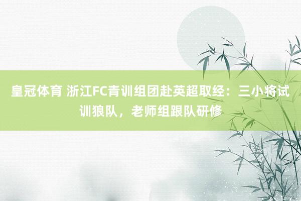 皇冠体育 浙江FC青训组团赴英超取经：三小将试训狼队，老师组跟队研修