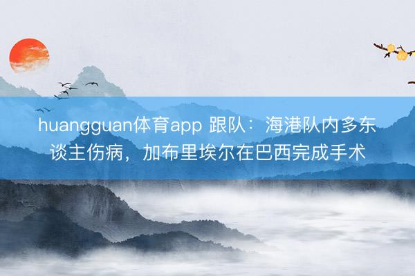 huangguan体育app 跟队：海港队内多东谈主伤病，加布里埃尔在巴西完成手术