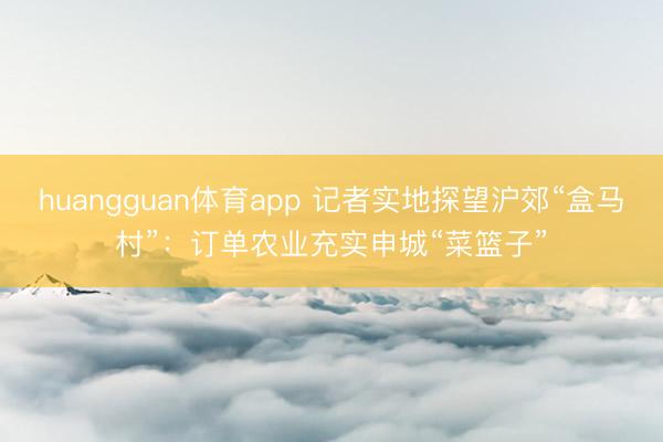 huangguan体育app 记者实地探望沪郊“盒马村”:订单农业充实申城“菜篮子”
