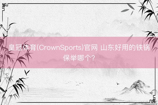 皇冠体育(CrownSports)官网 山东好用的铁锅保举哪个？