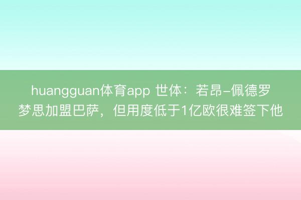 huangguan体育app 世体：若昂-佩德罗梦思加盟巴萨，但用度低于1亿欧很难签下他