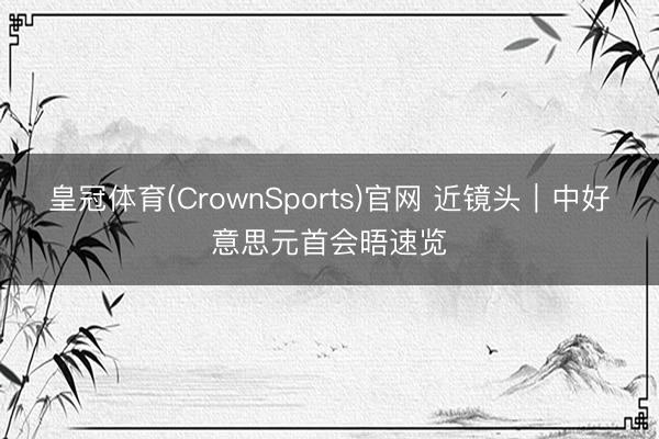 皇冠体育(CrownSports)官网 近镜头｜中好意思元首会晤速览