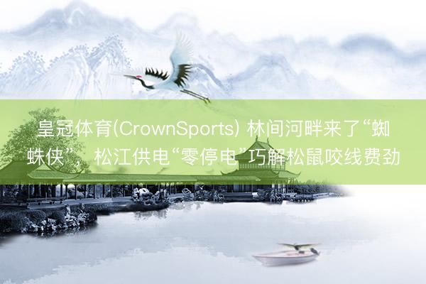 皇冠体育(CrownSports) 林间河畔来了“蜘蛛侠”，松江供电“零停电”巧解松鼠咬线费劲