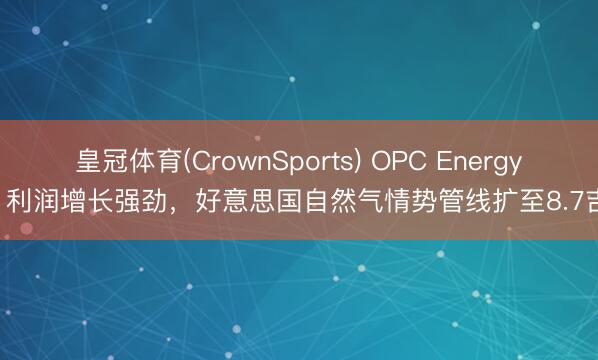 皇冠体育(CrownSports) OPC Energy Q1利润增长强劲，好意思国自然气情势管线扩至8.7吉瓦