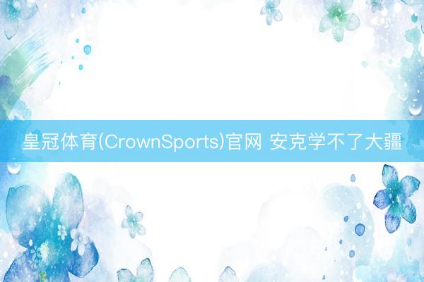 皇冠体育(CrownSports)官网 安克学不了大疆
