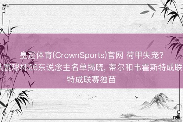 皇冠体育(CrownSports)官网 荷甲失宠? 荷兰队寰球杯26东说念主名单揭晓， 蒂尔和韦霍斯特成联赛独苗