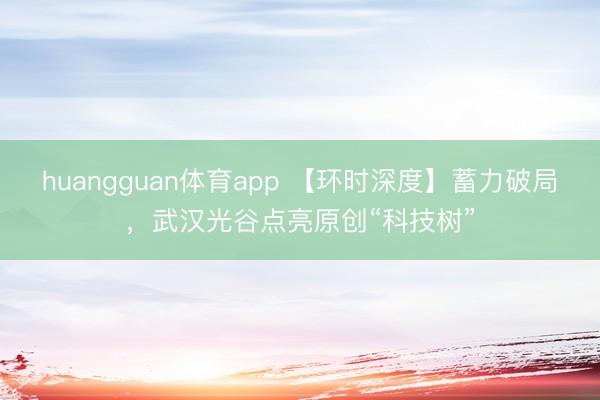 huangguan体育app 【环时深度】蓄力破局，武汉光谷点亮原创“科技树”