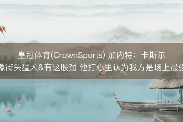 皇冠体育(CrownSports) 加内特：卡斯尔像街头猛犬&有这股劲 他打心里认为我方是场上最强