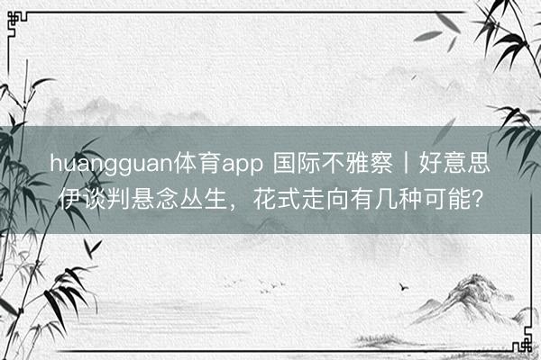 huangguan体育app 国际不雅察丨好意思伊谈判悬念丛生，花式走向有几种可能？