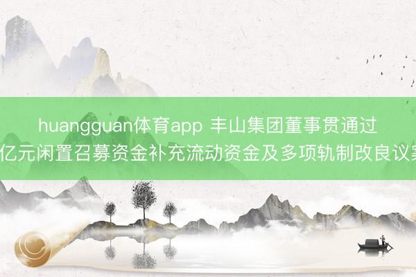 huangguan体育app 丰山集团董事贯通过2亿元闲置召募资金补充流动资金及多项轨制改良议案